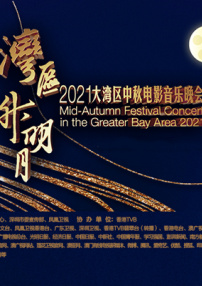杨晨晨剧情